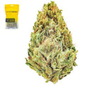 LA Sour Diesel Half Ounce